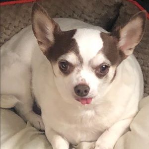 Meet your Posher, Christine